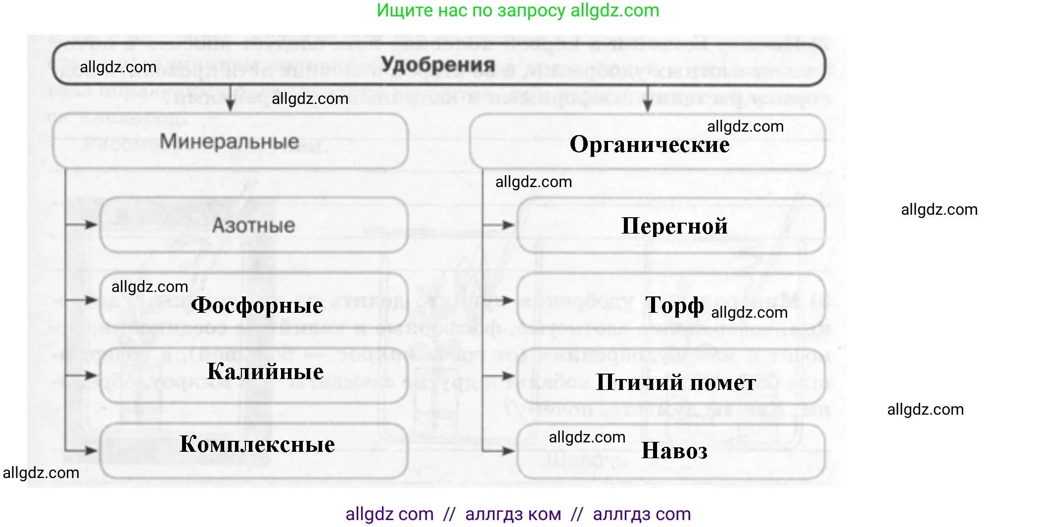 Биология, 6 класс рабочая тетрадь, авторы: Пасечник Владимир Васильевич, Суматохин Сергей Витальевич, Швецов Глеб Геннадьевич, Гапонюк Зоя Георгиевна, Косарькова Марина Викторовна, издательство Просвещение, Москва, 2023, белого цвета, страница 79, номер 3, Решение (продолжение 2)