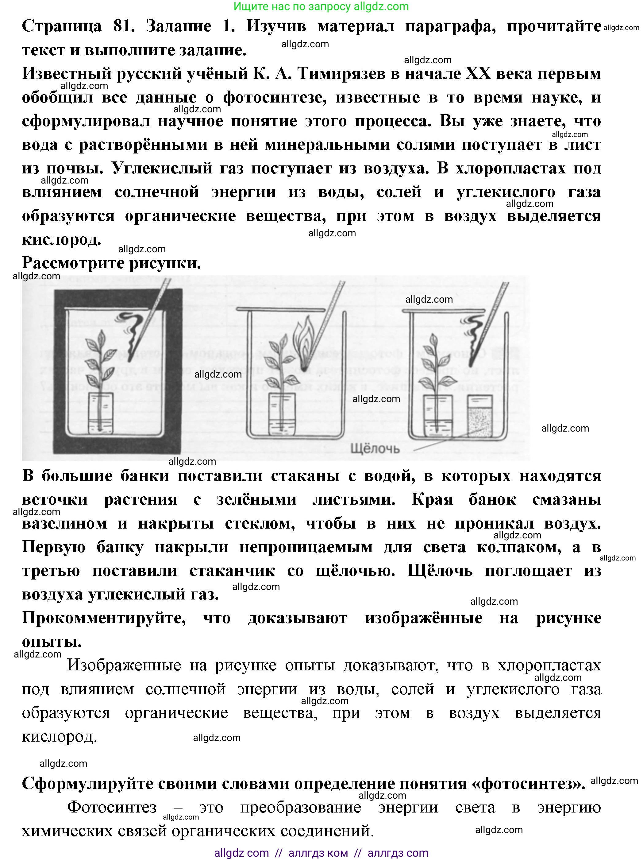 Биология, 6 класс рабочая тетрадь, авторы: Пасечник Владимир Васильевич, Суматохин Сергей Витальевич, Швецов Глеб Геннадьевич, Гапонюк Зоя Георгиевна, Косарькова Марина Викторовна, издательство Просвещение, Москва, 2023, белого цвета, страница 81, номер 1, Решение