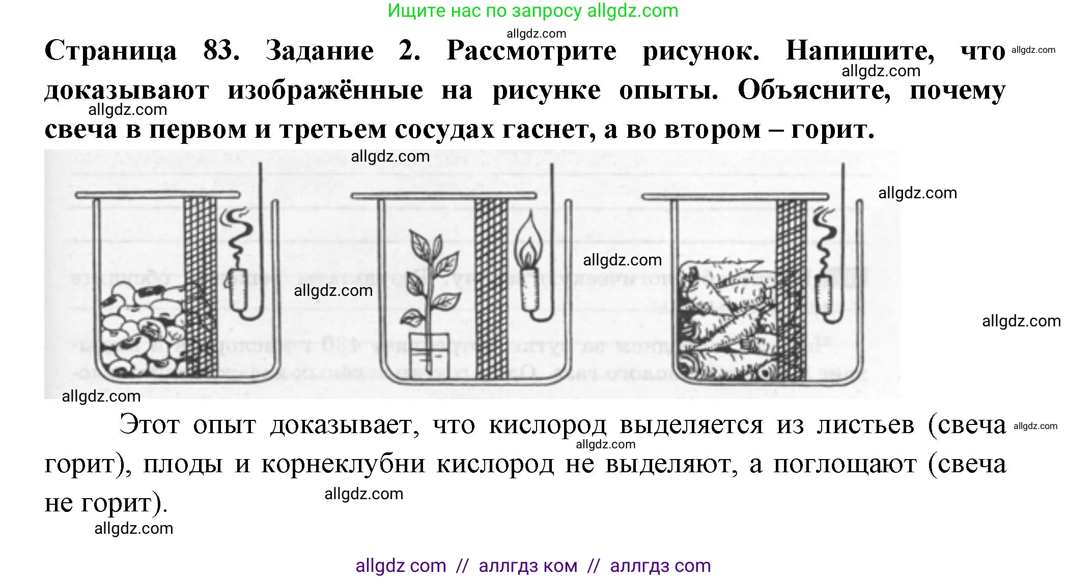 Биология, 6 класс рабочая тетрадь, авторы: Пасечник Владимир Васильевич, Суматохин Сергей Витальевич, Швецов Глеб Геннадьевич, Гапонюк Зоя Георгиевна, Косарькова Марина Викторовна, издательство Просвещение, Москва, 2023, белого цвета, страница 83, номер 2, Решение