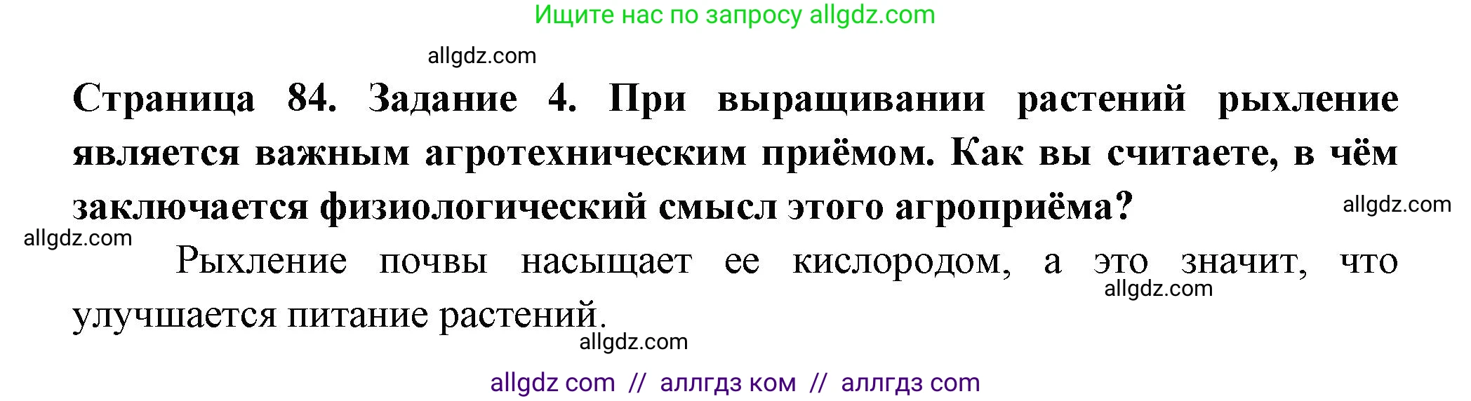 Биология, 6 класс рабочая тетрадь, авторы: Пасечник Владимир Васильевич, Суматохин Сергей Витальевич, Швецов Глеб Геннадьевич, Гапонюк Зоя Георгиевна, Косарькова Марина Викторовна, издательство Просвещение, Москва, 2023, белого цвета, страница 84, номер 4, Решение