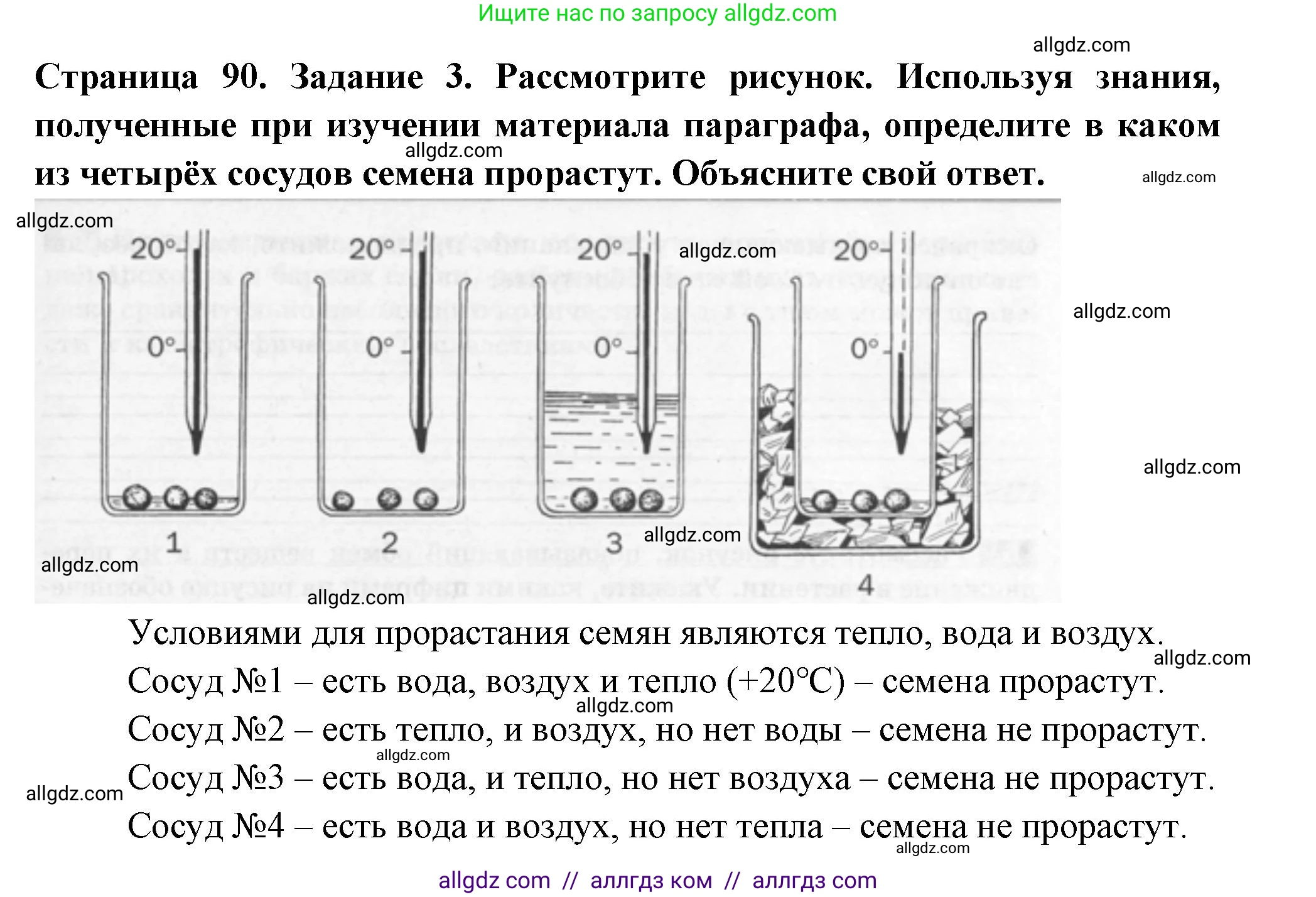 Биология, 6 класс рабочая тетрадь, авторы: Пасечник Владимир Васильевич, Суматохин Сергей Витальевич, Швецов Глеб Геннадьевич, Гапонюк Зоя Георгиевна, Косарькова Марина Викторовна, издательство Просвещение, Москва, 2023, белого цвета, страница 90, номер 3, Решение