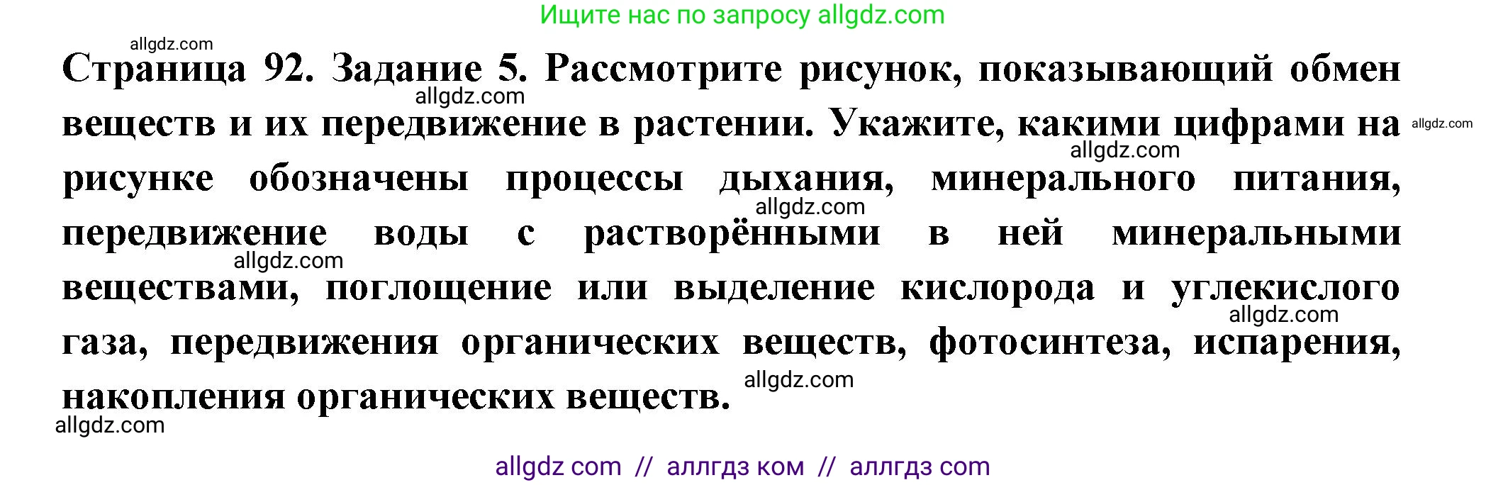Биология, 6 класс рабочая тетрадь, авторы: Пасечник Владимир Васильевич, Суматохин Сергей Витальевич, Швецов Глеб Геннадьевич, Гапонюк Зоя Георгиевна, Косарькова Марина Викторовна, издательство Просвещение, Москва, 2023, белого цвета, страница 92, номер 6, Решение