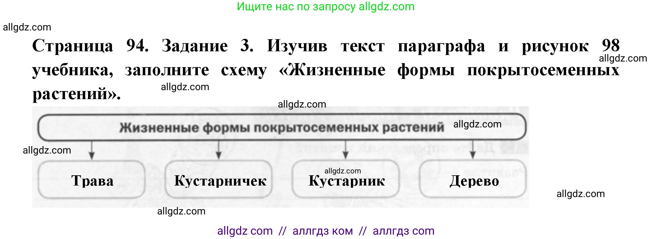 Биология, 6 класс рабочая тетрадь, авторы: Пасечник Владимир Васильевич, Суматохин Сергей Витальевич, Швецов Глеб Геннадьевич, Гапонюк Зоя Георгиевна, Косарькова Марина Викторовна, издательство Просвещение, Москва, 2023, белого цвета, страница 94, номер 3, Решение