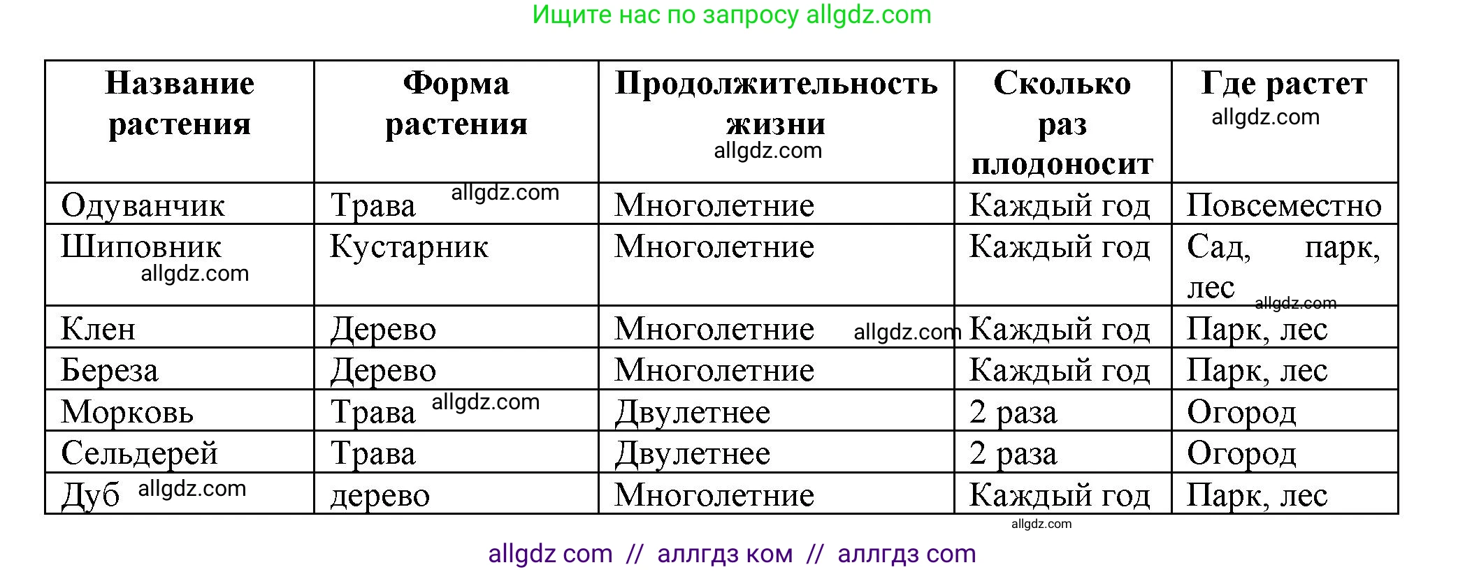 Биология, 6 класс рабочая тетрадь, авторы: Пасечник Владимир Васильевич, Суматохин Сергей Витальевич, Швецов Глеб Геннадьевич, Гапонюк Зоя Георгиевна, Косарькова Марина Викторовна, издательство Просвещение, Москва, 2023, белого цвета, страница 94, номер 4, Решение (продолжение 2)