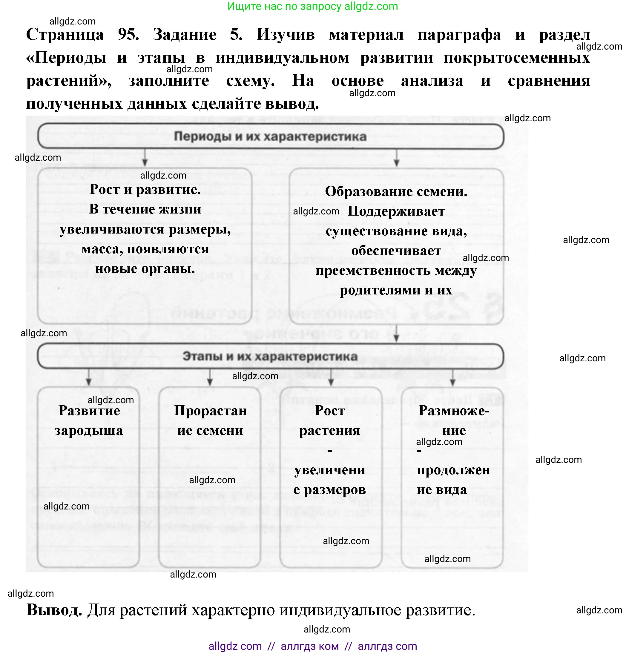 Биология, 6 класс рабочая тетрадь, авторы: Пасечник Владимир Васильевич, Суматохин Сергей Витальевич, Швецов Глеб Геннадьевич, Гапонюк Зоя Георгиевна, Косарькова Марина Викторовна, издательство Просвещение, Москва, 2023, белого цвета, страница 95, номер 5, Решение