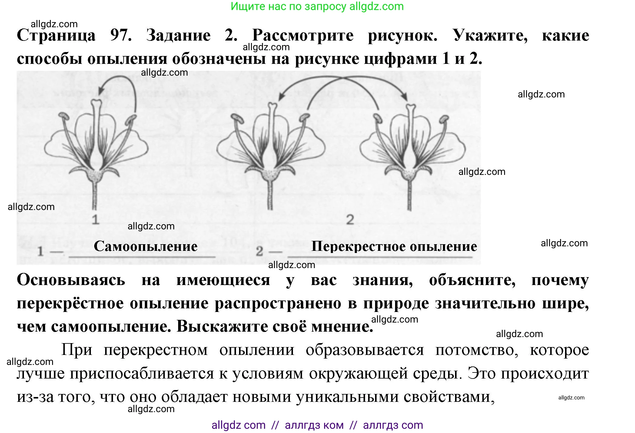 Биология, 6 класс рабочая тетрадь, авторы: Пасечник Владимир Васильевич, Суматохин Сергей Витальевич, Швецов Глеб Геннадьевич, Гапонюк Зоя Георгиевна, Косарькова Марина Викторовна, издательство Просвещение, Москва, 2023, белого цвета, страница 97, номер 2, Решение
