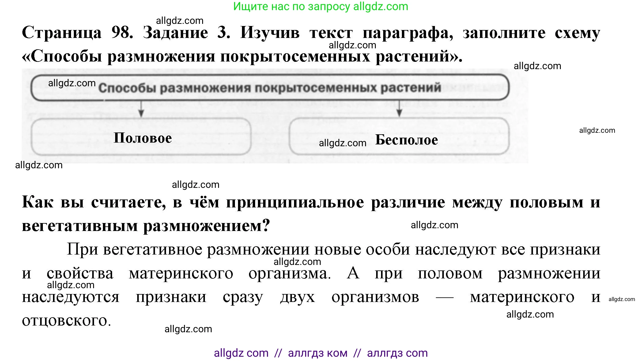 Биология, 6 класс рабочая тетрадь, авторы: Пасечник Владимир Васильевич, Суматохин Сергей Витальевич, Швецов Глеб Геннадьевич, Гапонюк Зоя Георгиевна, Косарькова Марина Викторовна, издательство Просвещение, Москва, 2023, белого цвета, страница 98, номер 3, Решение