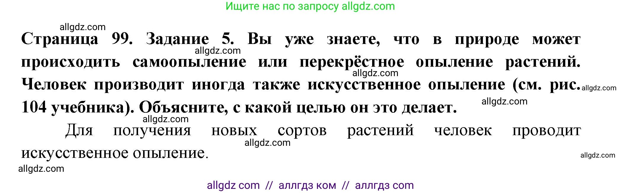 Биология, 6 класс рабочая тетрадь, авторы: Пасечник Владимир Васильевич, Суматохин Сергей Витальевич, Швецов Глеб Геннадьевич, Гапонюк Зоя Георгиевна, Косарькова Марина Викторовна, издательство Просвещение, Москва, 2023, белого цвета, страница 99, номер 5, Решение