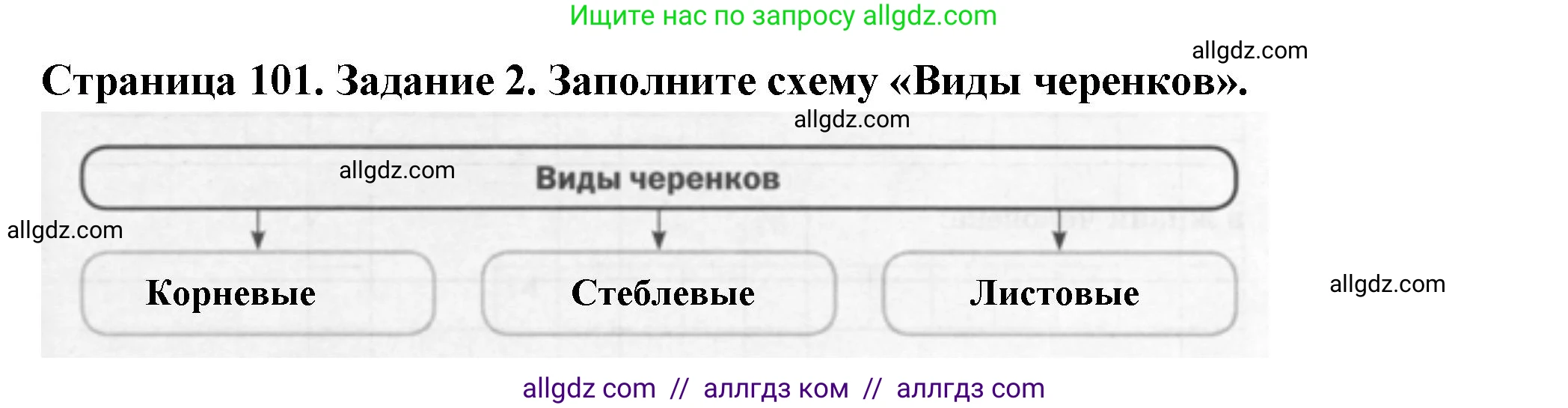 Биология, 6 класс рабочая тетрадь, авторы: Пасечник Владимир Васильевич, Суматохин Сергей Витальевич, Швецов Глеб Геннадьевич, Гапонюк Зоя Георгиевна, Косарькова Марина Викторовна, издательство Просвещение, Москва, 2023, белого цвета, страница 101, номер 2, Решение