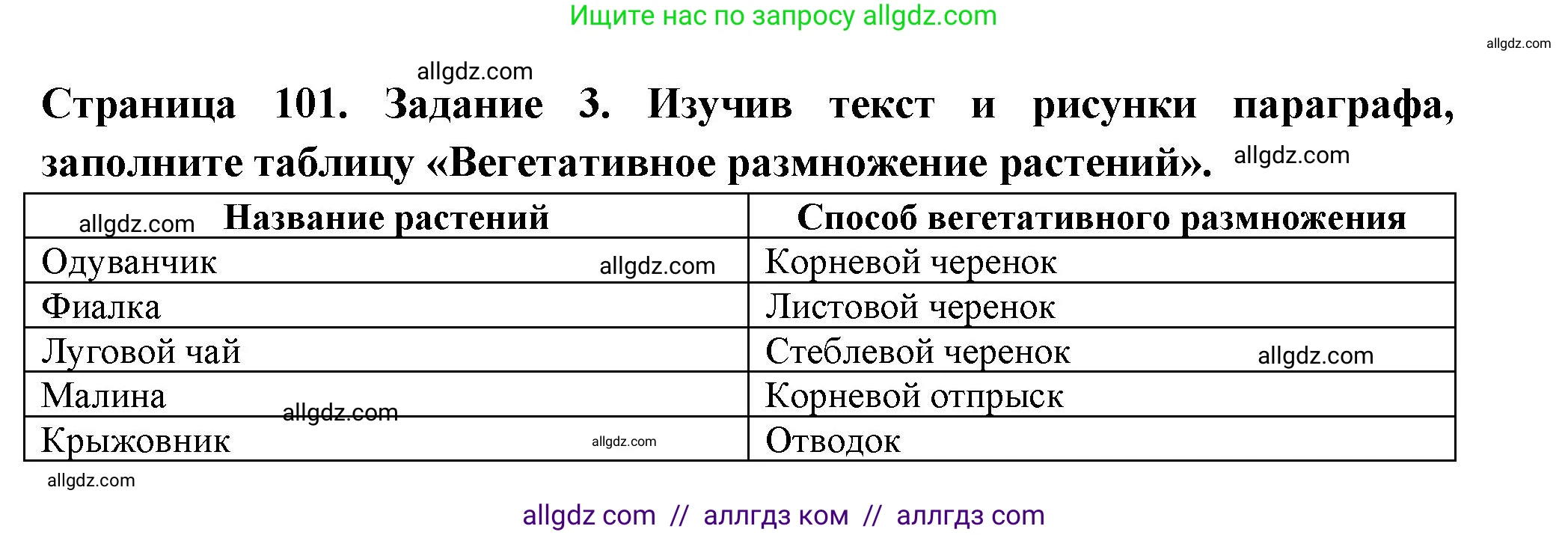Биология, 6 класс рабочая тетрадь, авторы: Пасечник Владимир Васильевич, Суматохин Сергей Витальевич, Швецов Глеб Геннадьевич, Гапонюк Зоя Георгиевна, Косарькова Марина Викторовна, издательство Просвещение, Москва, 2023, белого цвета, страница 101, номер 3, Решение
