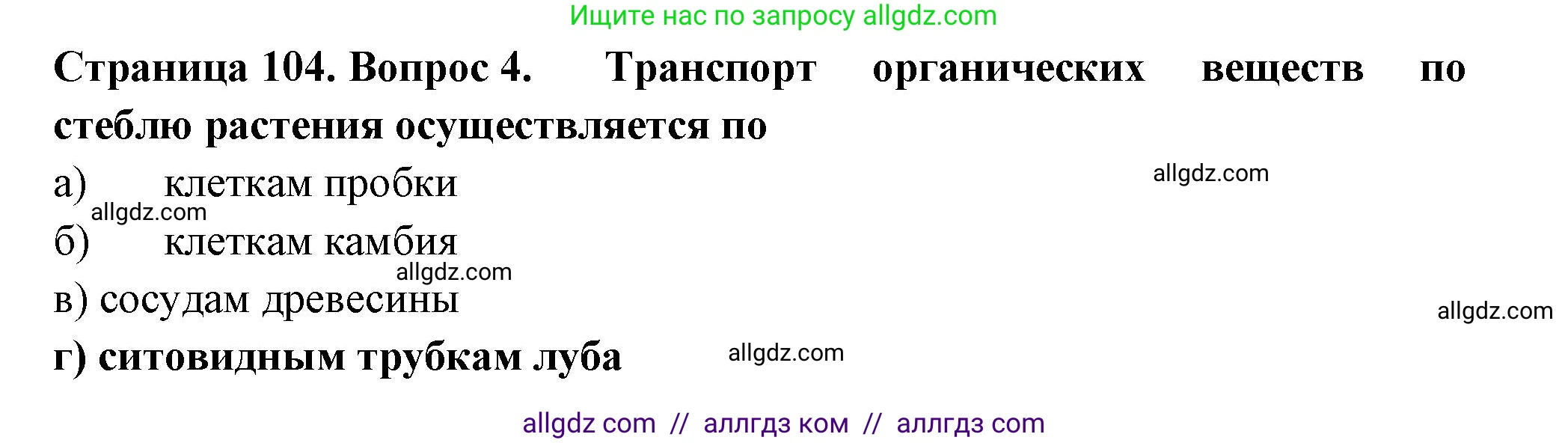 Биология, 6 класс рабочая тетрадь, авторы: Пасечник Владимир Васильевич, Суматохин Сергей Витальевич, Швецов Глеб Геннадьевич, Гапонюк Зоя Георгиевна, Косарькова Марина Викторовна, издательство Просвещение, Москва, 2023, белого цвета, страница 104, номер 4, Решение