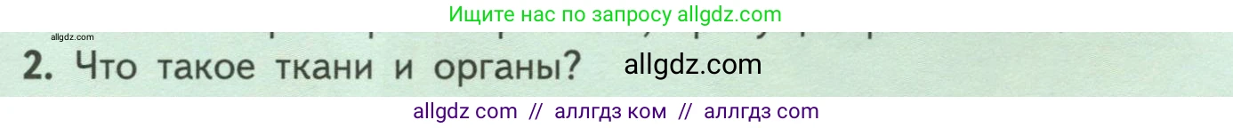 Биология, 6 класс Учебник, авторы: Пасечник Владимир Васильевич, Суматохин Сергей Витальевич, Гапонюк Зоя Георгиевна, Швецов Глеб Геннадьевич, издательство Просвещение, Москва, 2023, белого цвета, страница 13, номер 2, Условие