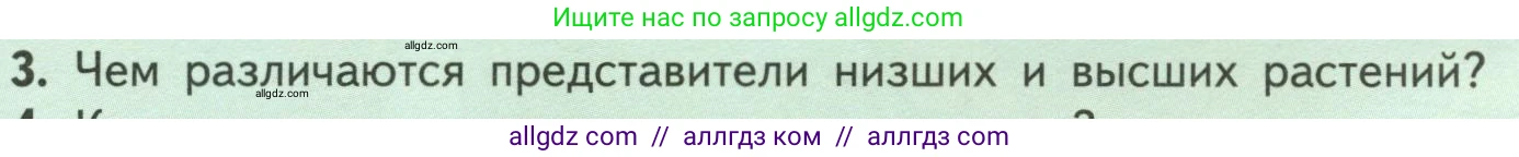Биология, 6 класс Учебник, авторы: Пасечник Владимир Васильевич, Суматохин Сергей Витальевич, Гапонюк Зоя Георгиевна, Швецов Глеб Геннадьевич, издательство Просвещение, Москва, 2023, белого цвета, страница 13, номер 3, Условие
