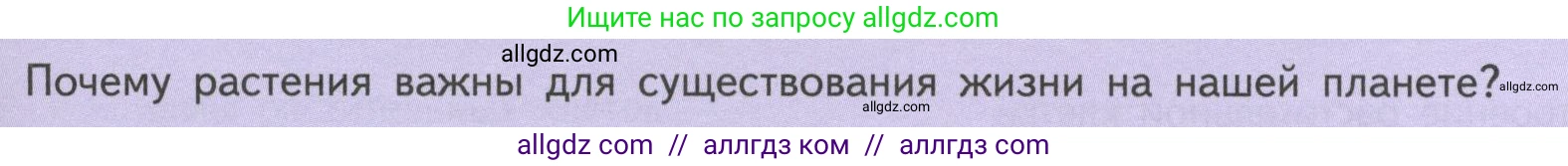 Биология, 6 класс Учебник, авторы: Пасечник Владимир Васильевич, Суматохин Сергей Витальевич, Гапонюк Зоя Георгиевна, Швецов Глеб Геннадьевич, издательство Просвещение, Москва, 2023, белого цвета, страница 13, Условие