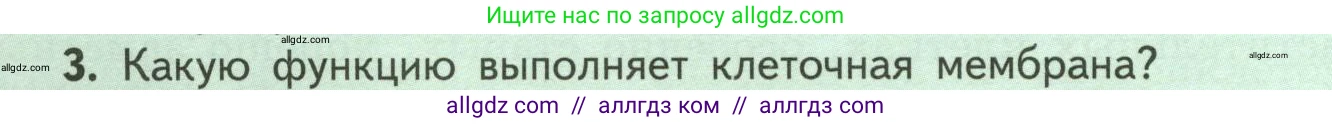 Биология, 6 класс Учебник, авторы: Пасечник Владимир Васильевич, Суматохин Сергей Витальевич, Гапонюк Зоя Георгиевна, Швецов Глеб Геннадьевич, издательство Просвещение, Москва, 2023, белого цвета, страница 16, номер 3, Условие