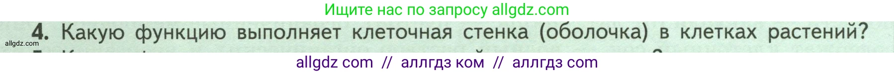 Биология, 6 класс Учебник, авторы: Пасечник Владимир Васильевич, Суматохин Сергей Витальевич, Гапонюк Зоя Георгиевна, Швецов Глеб Геннадьевич, издательство Просвещение, Москва, 2023, белого цвета, страница 16, номер 4, Условие