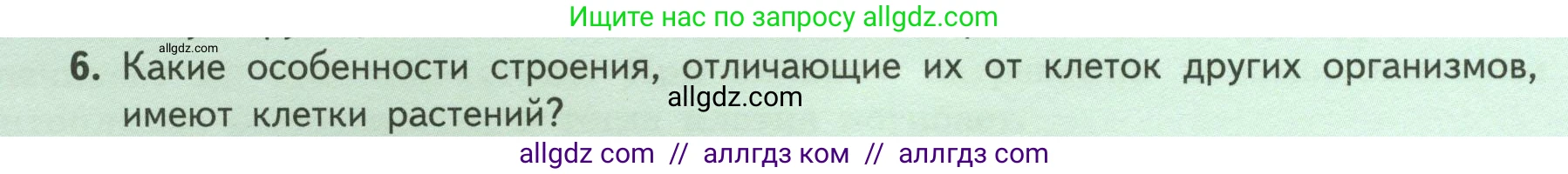 Биология, 6 класс Учебник, авторы: Пасечник Владимир Васильевич, Суматохин Сергей Витальевич, Гапонюк Зоя Георгиевна, Швецов Глеб Геннадьевич, издательство Просвещение, Москва, 2023, белого цвета, страница 16, номер 6, Условие