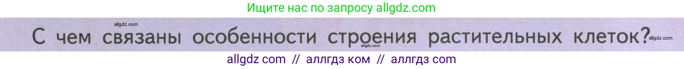 Биология, 6 класс Учебник, авторы: Пасечник Владимир Васильевич, Суматохин Сергей Витальевич, Гапонюк Зоя Георгиевна, Швецов Глеб Геннадьевич, издательство Просвещение, Москва, 2023, белого цвета, страница 16, Условие