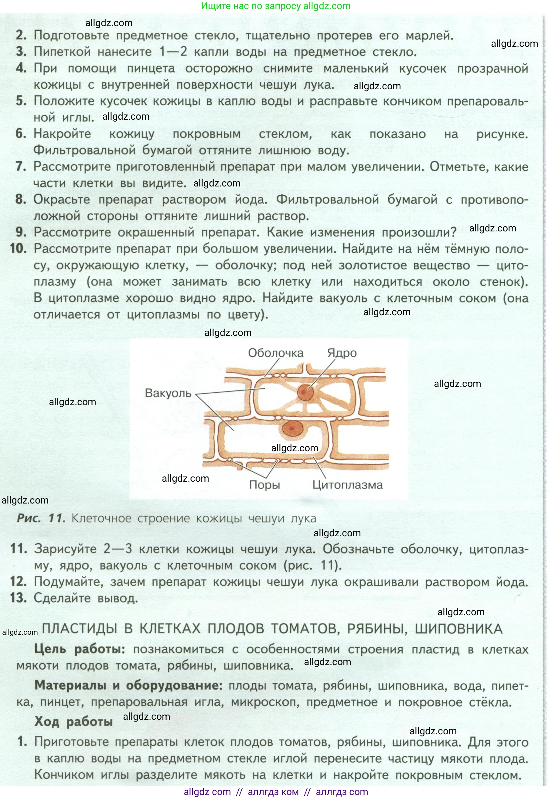 Биология, 6 класс Учебник, авторы: Пасечник Владимир Васильевич, Суматохин Сергей Витальевич, Гапонюк Зоя Георгиевна, Швецов Глеб Геннадьевич, издательство Просвещение, Москва, 2023, белого цвета, страница 17, Условие (продолжение 2)