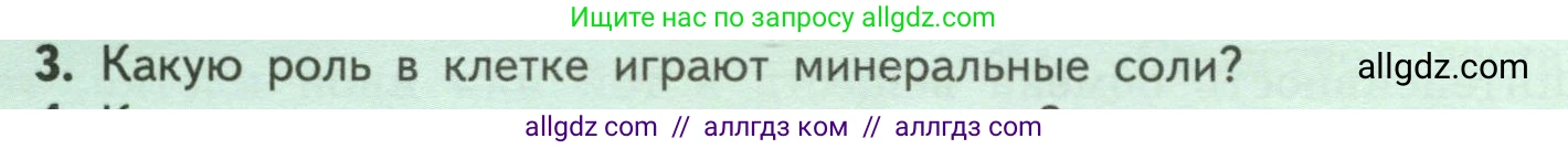 Биология, 6 класс Учебник, авторы: Пасечник Владимир Васильевич, Суматохин Сергей Витальевич, Гапонюк Зоя Георгиевна, Швецов Глеб Геннадьевич, издательство Просвещение, Москва, 2023, белого цвета, страница 24, номер 3, Условие