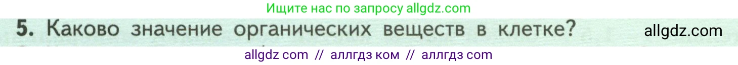 Биология, 6 класс Учебник, авторы: Пасечник Владимир Васильевич, Суматохин Сергей Витальевич, Гапонюк Зоя Георгиевна, Швецов Глеб Геннадьевич, издательство Просвещение, Москва, 2023, белого цвета, страница 24, номер 5, Условие