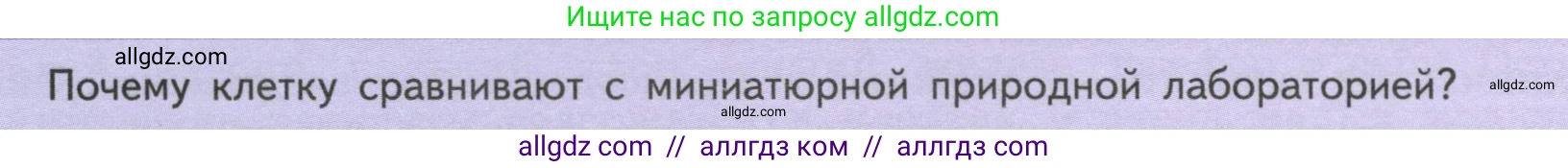 Биология, 6 класс Учебник, авторы: Пасечник Владимир Васильевич, Суматохин Сергей Витальевич, Гапонюк Зоя Георгиевна, Швецов Глеб Геннадьевич, издательство Просвещение, Москва, 2023, белого цвета, страница 24, Условие