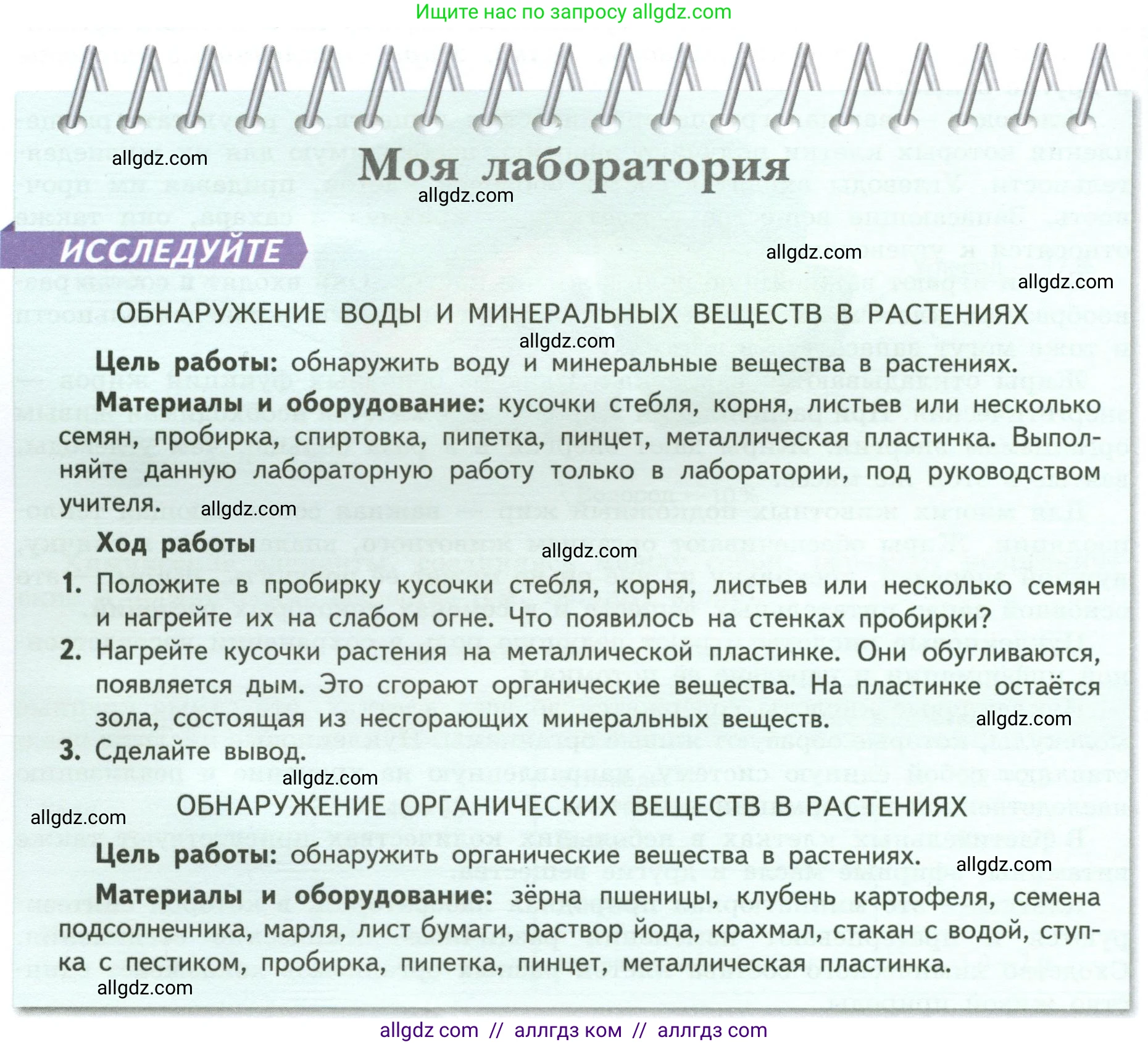 Биология, 6 класс Учебник, авторы: Пасечник Владимир Васильевич, Суматохин Сергей Витальевич, Гапонюк Зоя Георгиевна, Швецов Глеб Геннадьевич, издательство Просвещение, Москва, 2023, белого цвета, страница 24, Условие