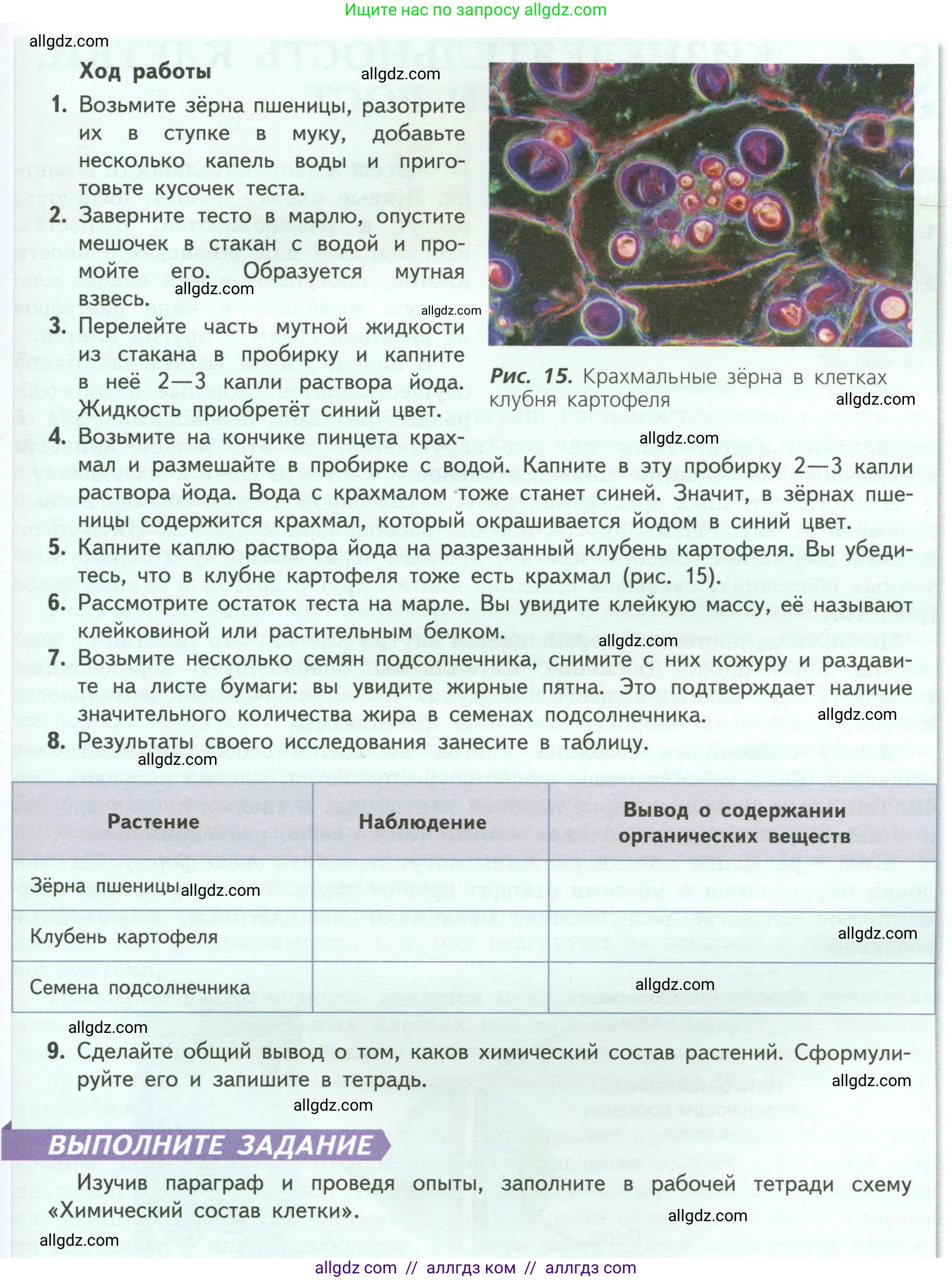 Биология, 6 класс Учебник, авторы: Пасечник Владимир Васильевич, Суматохин Сергей Витальевич, Гапонюк Зоя Георгиевна, Швецов Глеб Геннадьевич, издательство Просвещение, Москва, 2023, белого цвета, страница 24, Условие (продолжение 2)