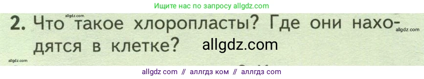 Биология, 6 класс Учебник, авторы: Пасечник Владимир Васильевич, Суматохин Сергей Витальевич, Гапонюк Зоя Георгиевна, Швецов Глеб Геннадьевич, издательство Просвещение, Москва, 2023, белого цвета, страница 26, номер 2, Условие