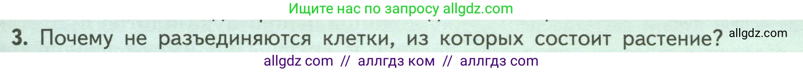Биология, 6 класс Учебник, авторы: Пасечник Владимир Васильевич, Суматохин Сергей Витальевич, Гапонюк Зоя Георгиевна, Швецов Глеб Геннадьевич, издательство Просвещение, Москва, 2023, белого цвета, страница 29, номер 3, Условие