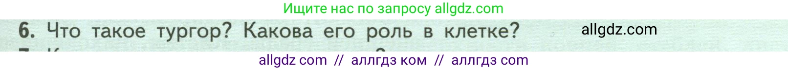 Биология, 6 класс Учебник, авторы: Пасечник Владимир Васильевич, Суматохин Сергей Витальевич, Гапонюк Зоя Георгиевна, Швецов Глеб Геннадьевич, издательство Просвещение, Москва, 2023, белого цвета, страница 29, номер 6, Условие