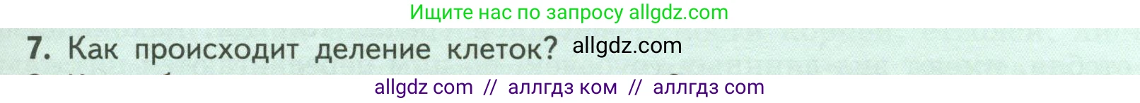 Биология, 6 класс Учебник, авторы: Пасечник Владимир Васильевич, Суматохин Сергей Витальевич, Гапонюк Зоя Георгиевна, Швецов Глеб Геннадьевич, издательство Просвещение, Москва, 2023, белого цвета, страница 29, номер 7, Условие