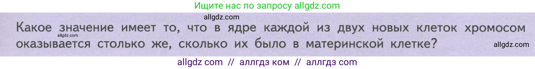 Биология, 6 класс Учебник, авторы: Пасечник Владимир Васильевич, Суматохин Сергей Витальевич, Гапонюк Зоя Георгиевна, Швецов Глеб Геннадьевич, издательство Просвещение, Москва, 2023, белого цвета, страница 29, Условие