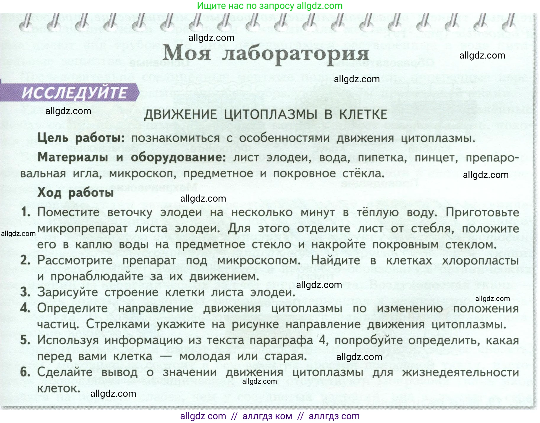 Биология, 6 класс Учебник, авторы: Пасечник Владимир Васильевич, Суматохин Сергей Витальевич, Гапонюк Зоя Георгиевна, Швецов Глеб Геннадьевич, издательство Просвещение, Москва, 2023, белого цвета, страница 29, Условие