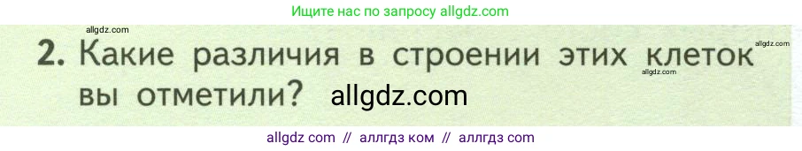 Биология, 6 класс Учебник, авторы: Пасечник Владимир Васильевич, Суматохин Сергей Витальевич, Гапонюк Зоя Георгиевна, Швецов Глеб Геннадьевич, издательство Просвещение, Москва, 2023, белого цвета, страница 30, номер 2, Условие