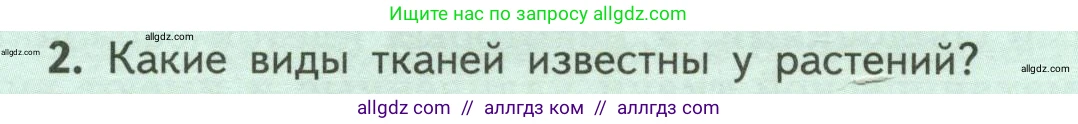 Биология, 6 класс Учебник, авторы: Пасечник Владимир Васильевич, Суматохин Сергей Витальевич, Гапонюк Зоя Георгиевна, Швецов Глеб Геннадьевич, издательство Просвещение, Москва, 2023, белого цвета, страница 32, номер 2, Условие
