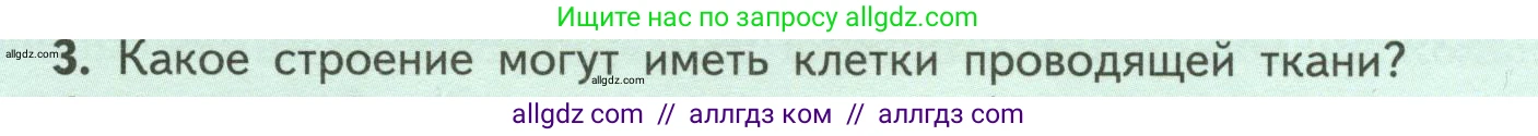 Биология, 6 класс Учебник, авторы: Пасечник Владимир Васильевич, Суматохин Сергей Витальевич, Гапонюк Зоя Георгиевна, Швецов Глеб Геннадьевич, издательство Просвещение, Москва, 2023, белого цвета, страница 32, номер 3, Условие