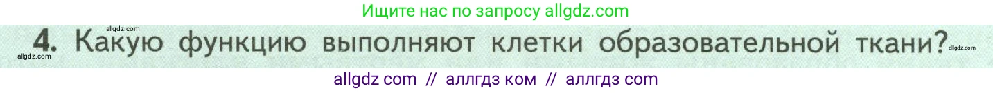 Биология, 6 класс Учебник, авторы: Пасечник Владимир Васильевич, Суматохин Сергей Витальевич, Гапонюк Зоя Георгиевна, Швецов Глеб Геннадьевич, издательство Просвещение, Москва, 2023, белого цвета, страница 32, номер 4, Условие