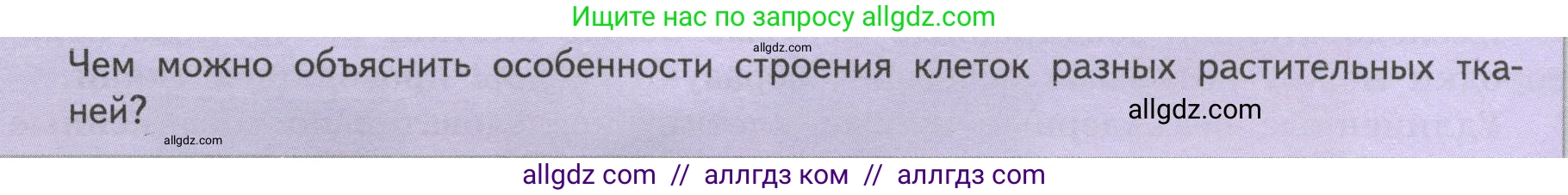 Биология, 6 класс Учебник, авторы: Пасечник Владимир Васильевич, Суматохин Сергей Витальевич, Гапонюк Зоя Георгиевна, Швецов Глеб Геннадьевич, издательство Просвещение, Москва, 2023, белого цвета, страница 32, Условие