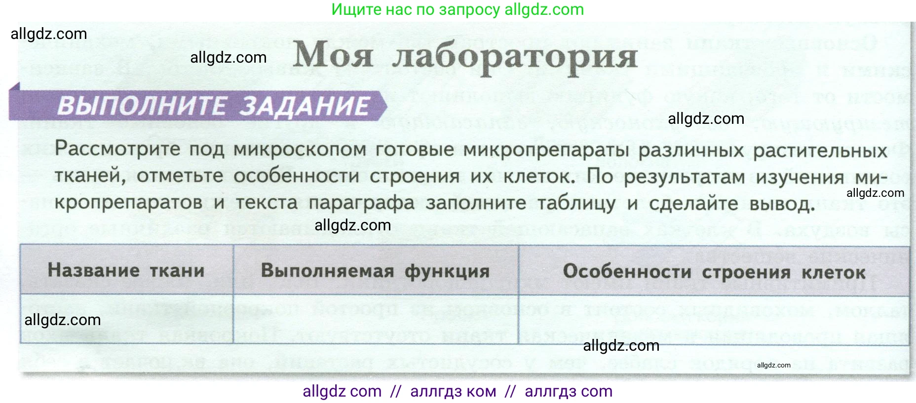 Биология, 6 класс Учебник, авторы: Пасечник Владимир Васильевич, Суматохин Сергей Витальевич, Гапонюк Зоя Георгиевна, Швецов Глеб Геннадьевич, издательство Просвещение, Москва, 2023, белого цвета, страница 32, Условие