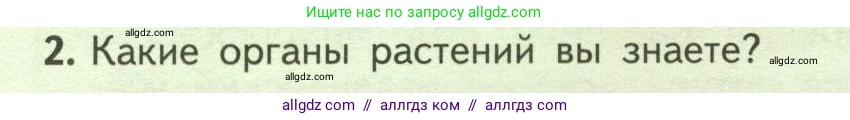Биология, 6 класс Учебник, авторы: Пасечник Владимир Васильевич, Суматохин Сергей Витальевич, Гапонюк Зоя Георгиевна, Швецов Глеб Геннадьевич, издательство Просвещение, Москва, 2023, белого цвета, страница 34, номер 2, Условие