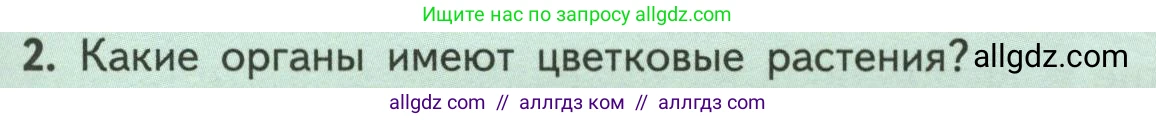 Биология, 6 класс Учебник, авторы: Пасечник Владимир Васильевич, Суматохин Сергей Витальевич, Гапонюк Зоя Георгиевна, Швецов Глеб Геннадьевич, издательство Просвещение, Москва, 2023, белого цвета, страница 37, номер 2, Условие
