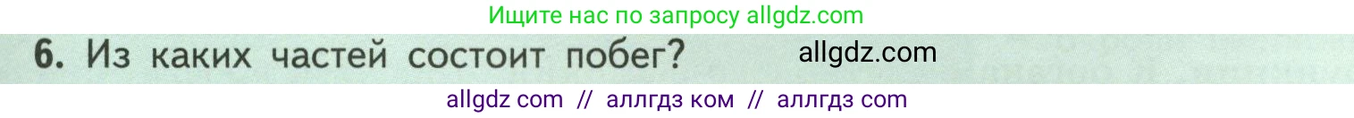 Биология, 6 класс Учебник, авторы: Пасечник Владимир Васильевич, Суматохин Сергей Витальевич, Гапонюк Зоя Георгиевна, Швецов Глеб Геннадьевич, издательство Просвещение, Москва, 2023, белого цвета, страница 37, номер 6, Условие