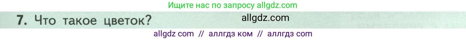 Биология, 6 класс Учебник, авторы: Пасечник Владимир Васильевич, Суматохин Сергей Витальевич, Гапонюк Зоя Георгиевна, Швецов Глеб Геннадьевич, издательство Просвещение, Москва, 2023, белого цвета, страница 37, номер 7, Условие