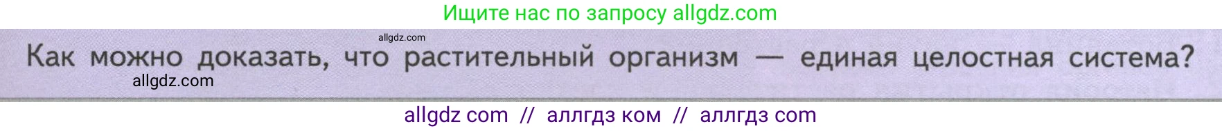 Биология, 6 класс Учебник, авторы: Пасечник Владимир Васильевич, Суматохин Сергей Витальевич, Гапонюк Зоя Георгиевна, Швецов Глеб Геннадьевич, издательство Просвещение, Москва, 2023, белого цвета, страница 37, Условие