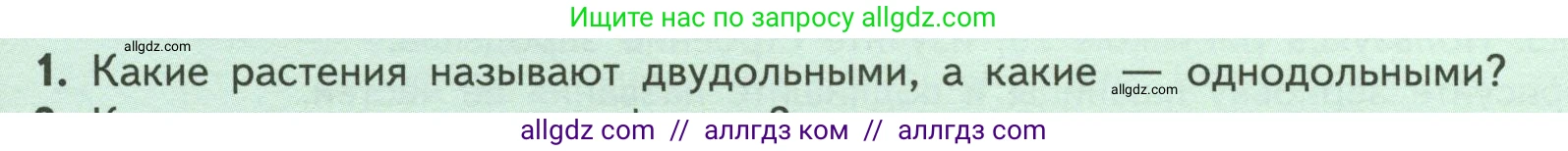Биология, 6 класс Учебник, авторы: Пасечник Владимир Васильевич, Суматохин Сергей Витальевич, Гапонюк Зоя Георгиевна, Швецов Глеб Геннадьевич, издательство Просвещение, Москва, 2023, белого цвета, страница 41, номер 1, Условие