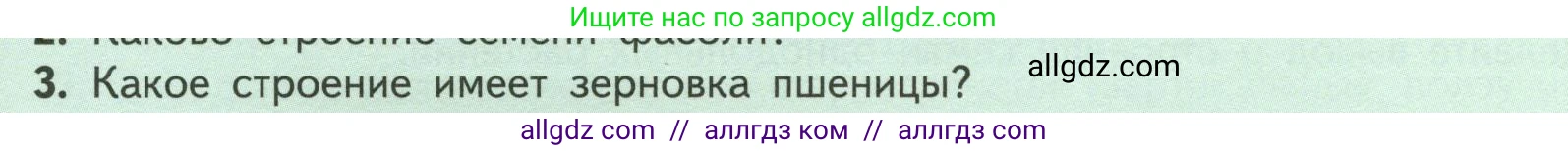 Биология, 6 класс Учебник, авторы: Пасечник Владимир Васильевич, Суматохин Сергей Витальевич, Гапонюк Зоя Георгиевна, Швецов Глеб Геннадьевич, издательство Просвещение, Москва, 2023, белого цвета, страница 41, номер 3, Условие