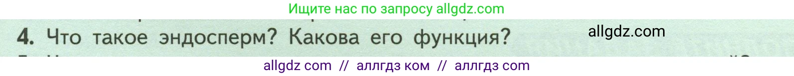 Биология, 6 класс Учебник, авторы: Пасечник Владимир Васильевич, Суматохин Сергей Витальевич, Гапонюк Зоя Георгиевна, Швецов Глеб Геннадьевич, издательство Просвещение, Москва, 2023, белого цвета, страница 41, номер 4, Условие