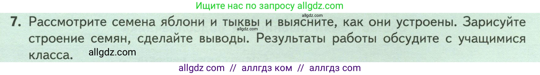 Биология, 6 класс Учебник, авторы: Пасечник Владимир Васильевич, Суматохин Сергей Витальевич, Гапонюк Зоя Георгиевна, Швецов Глеб Геннадьевич, издательство Просвещение, Москва, 2023, белого цвета, страница 41, номер 7, Условие