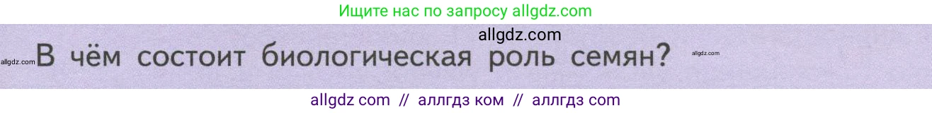 Биология, 6 класс Учебник, авторы: Пасечник Владимир Васильевич, Суматохин Сергей Витальевич, Гапонюк Зоя Георгиевна, Швецов Глеб Геннадьевич, издательство Просвещение, Москва, 2023, белого цвета, страница 41, Условие